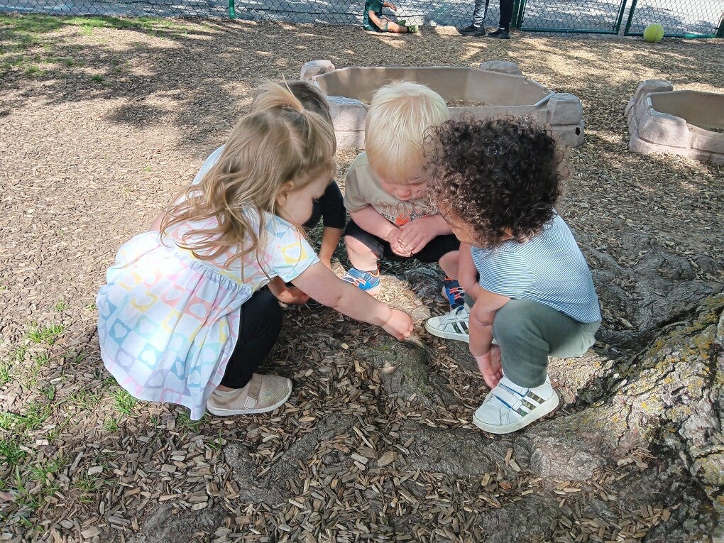 Children exploring nature at St. James Preparatory Academy